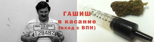 сатива Алзамай