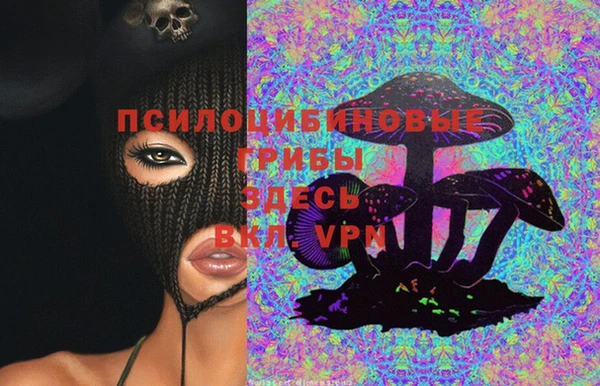 ECSTASY Алексин