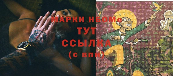 сатива Алзамай