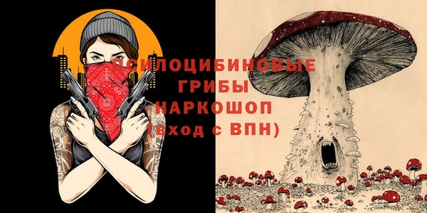 ECSTASY Алексин