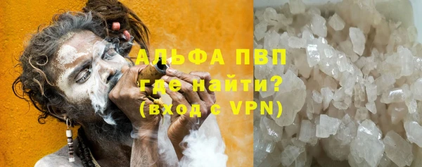 сатива Алзамай