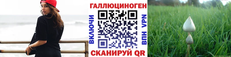 Псилоцибиновые грибы Psilocybe  наркошоп  Каневская 